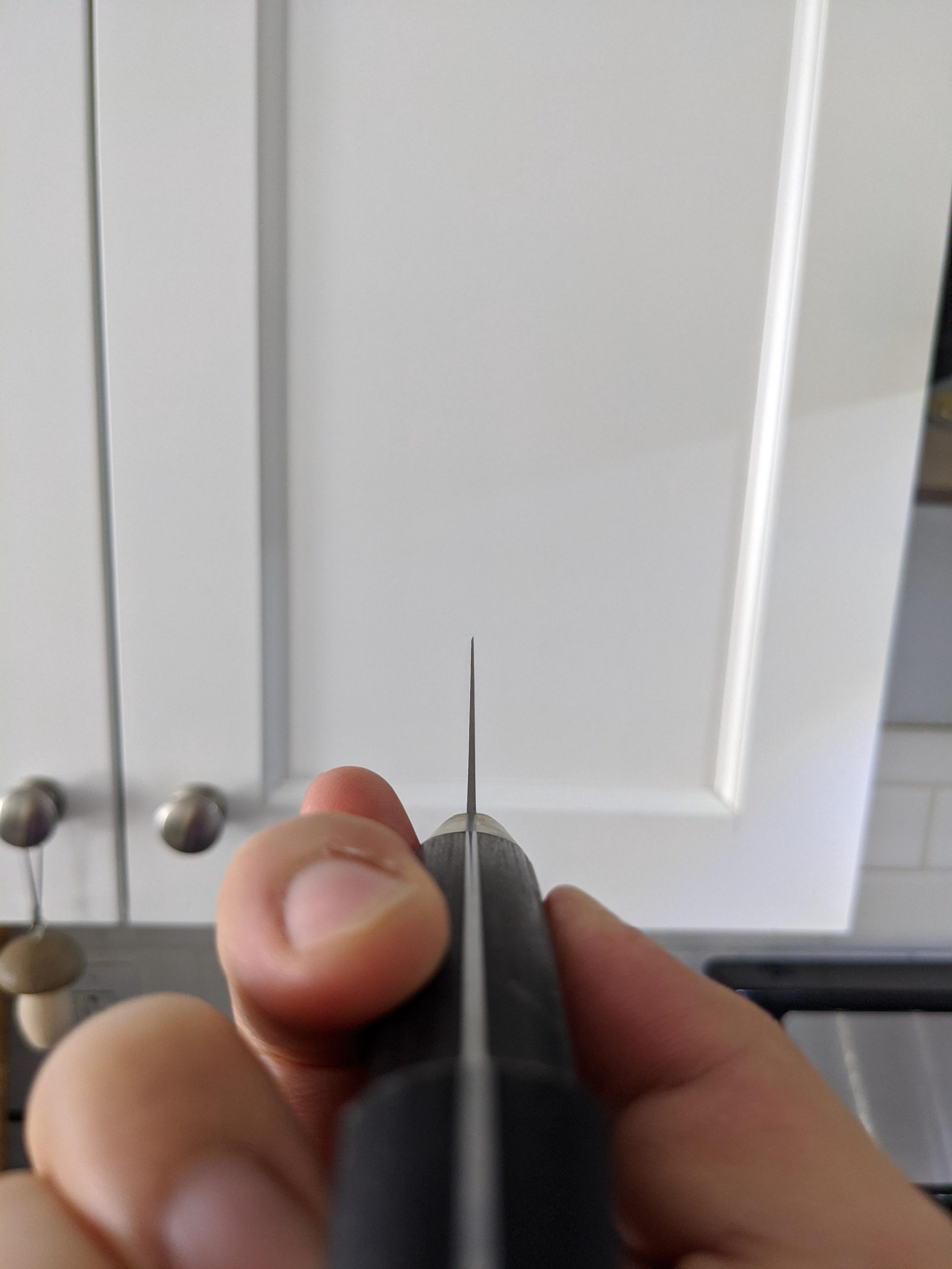 Misono UX10 Review Overrated Or Worth It? Blades Power